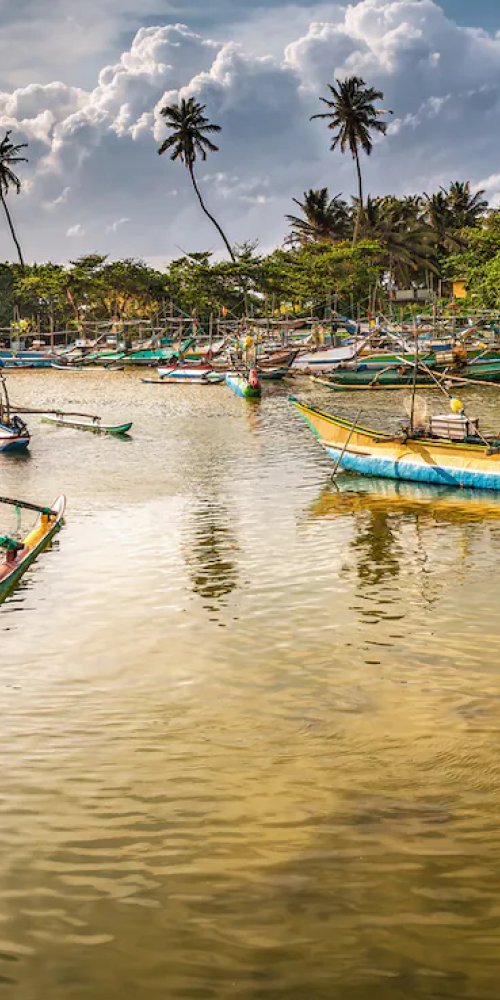 Dining ambience in Bentota, LK