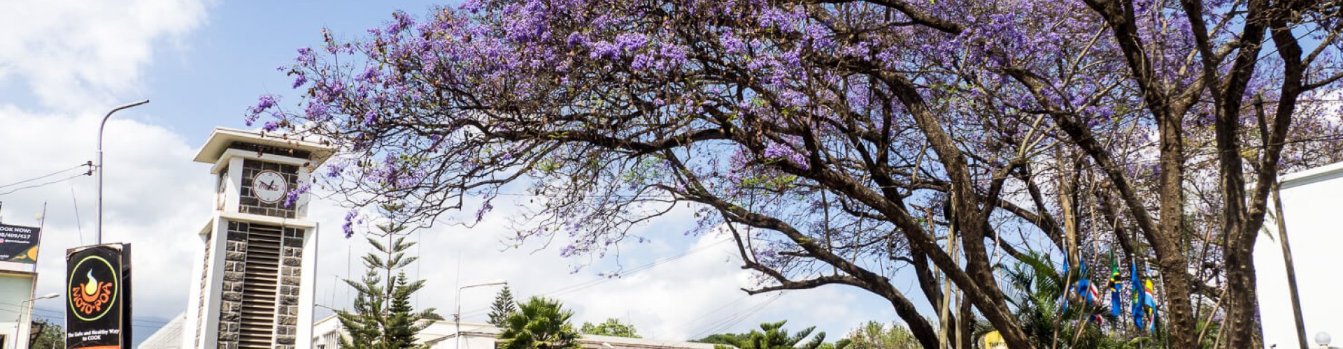 Scenic Arusha dining landscape