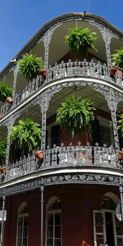 Dining ambience in New Orleans, LA, US