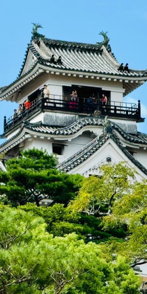 Dining ambience in Kochi, JP