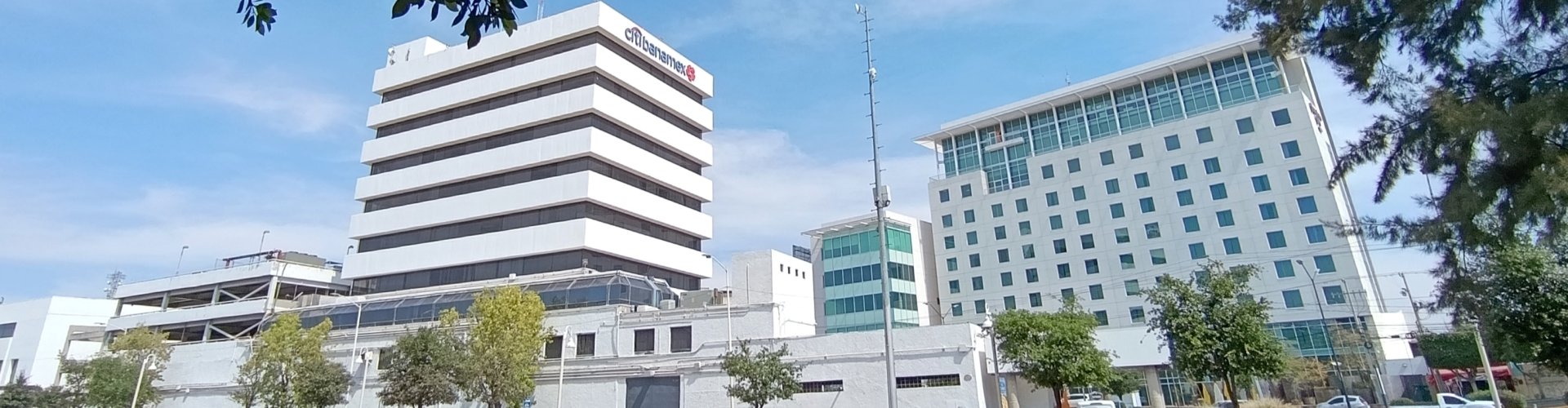 León, MX dining scene