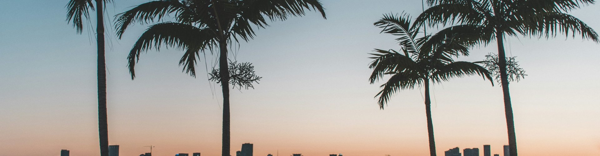 Miami culinary landscape