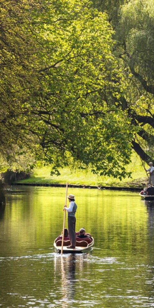 Dining ambience in Christchurch