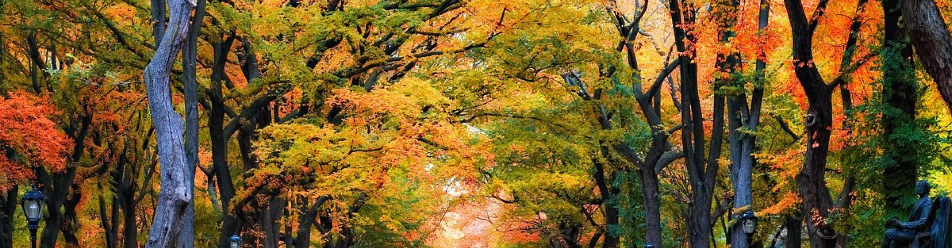 Best restaurants in New York, NY, US