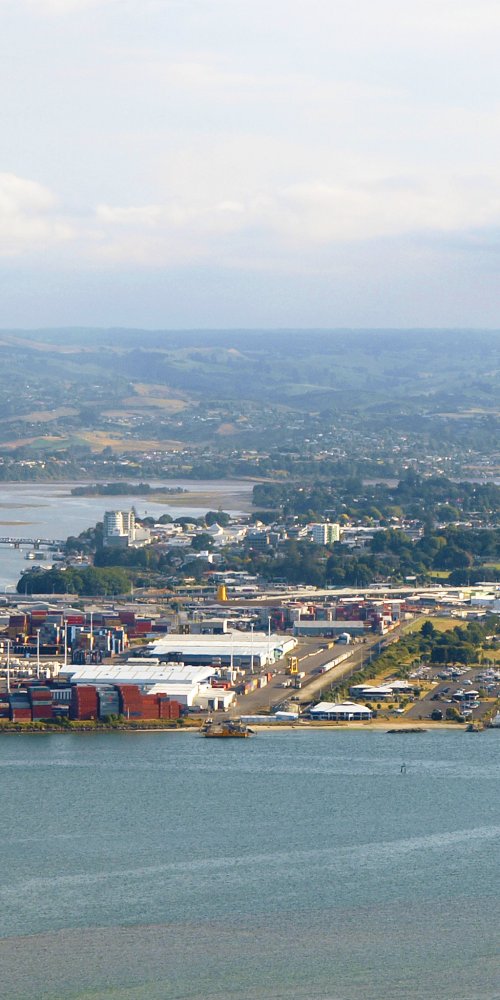 Dining ambiance in Tauranga, NZ