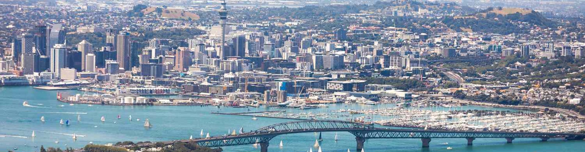 Best restaurants in Auckland, NZ