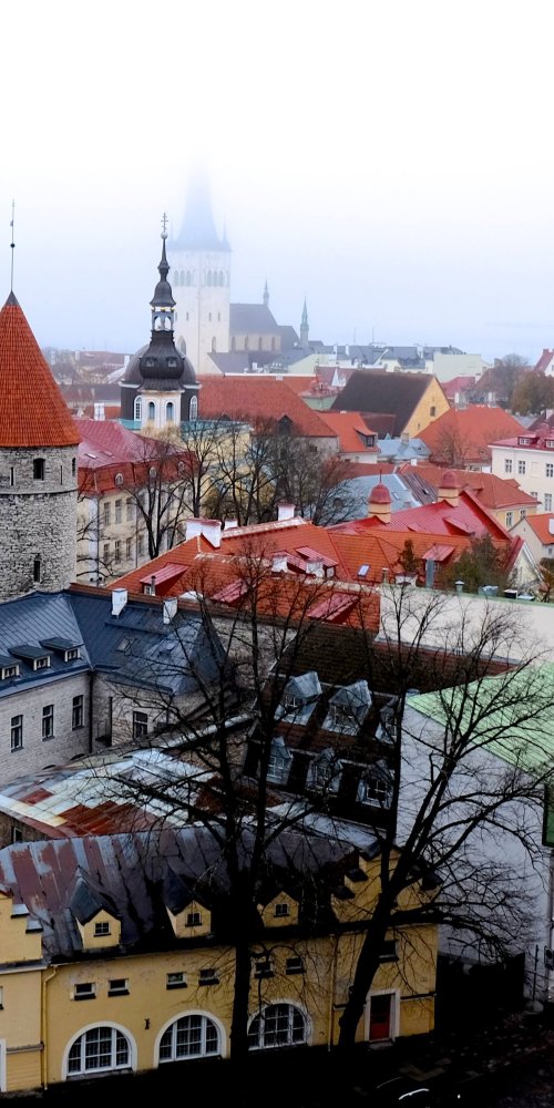 Dining ambience in Tallinn
