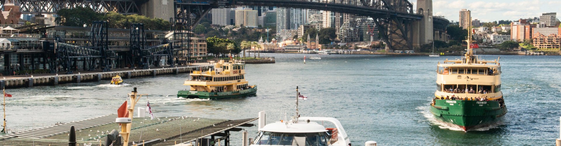 Sydney night dining scene