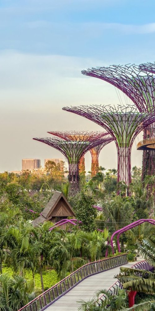 Dining ambience in Singapore