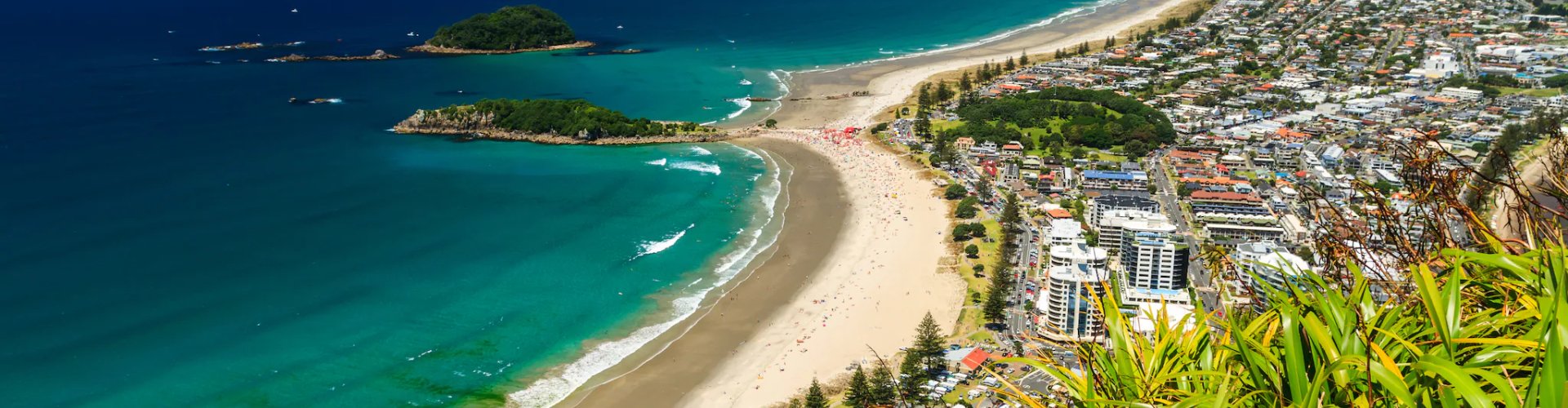 Best restaurants in Tauranga, NZ