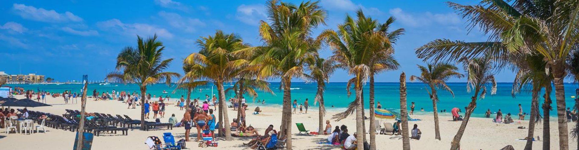 Best restaurants in Playa del Carmen, MX