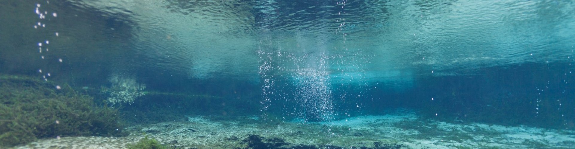 Best restaurants in High Springs, FL, US