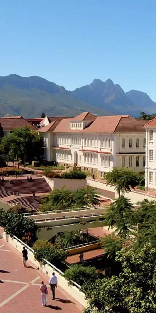 Dining ambience in Stellenbosch