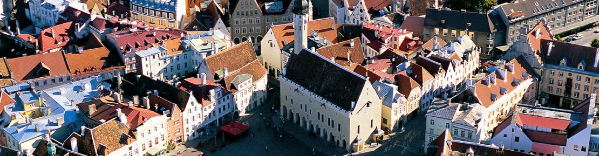 Tallinn dining landscape