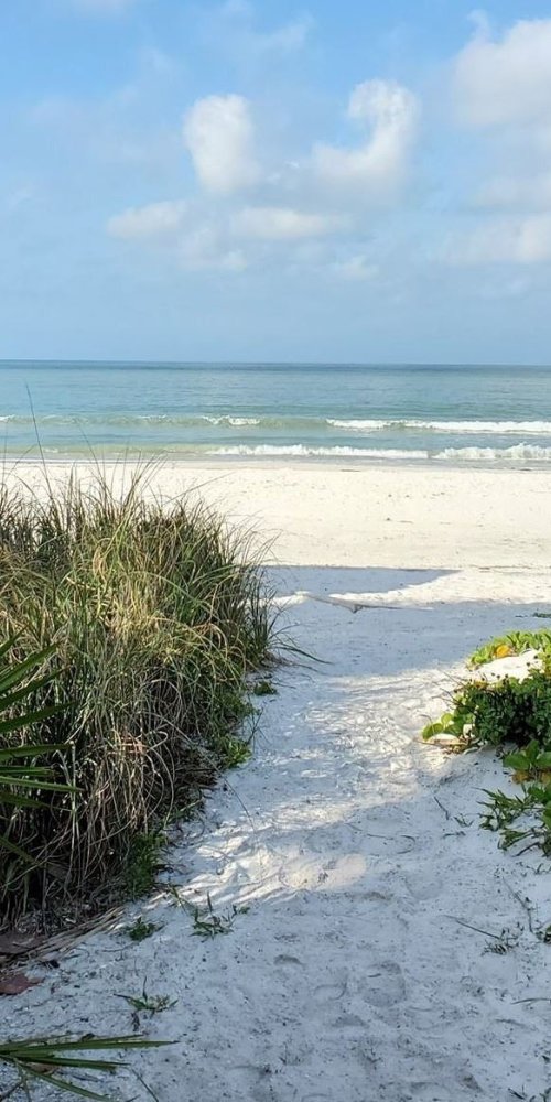 Dining ambience in Fort Myers, FL, US