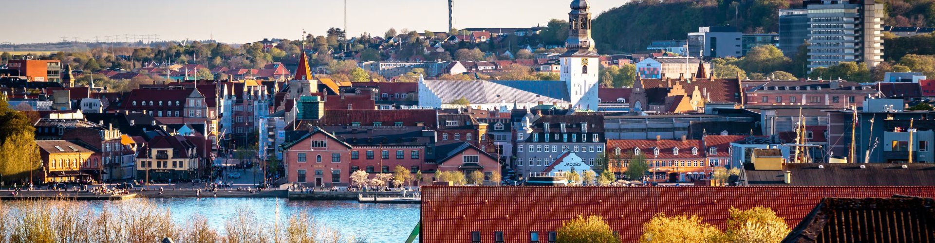 Best restaurants in Aalborg, DK