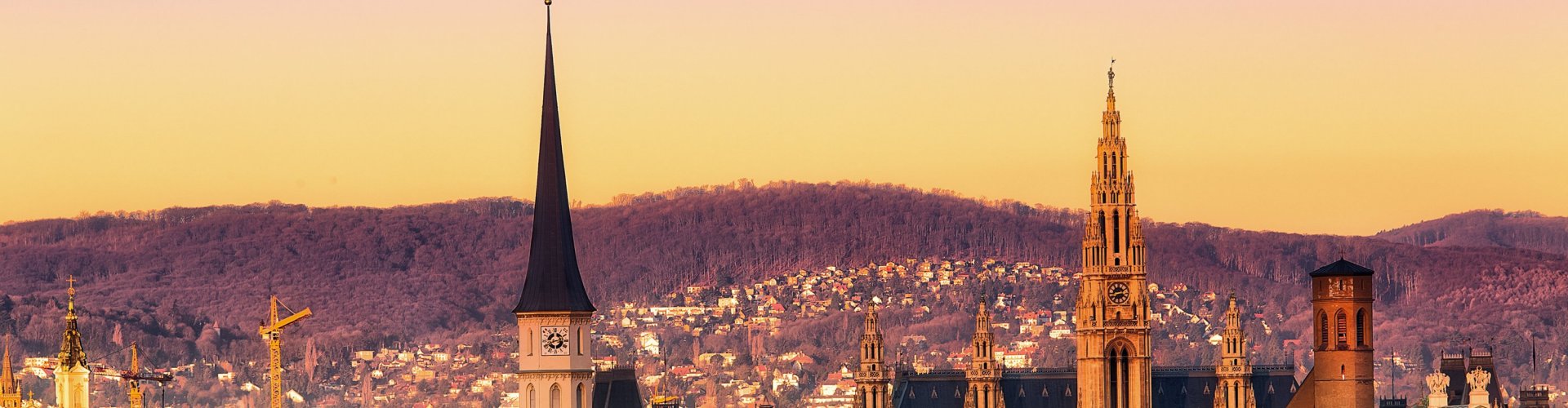 Best restaurants in Vienna, AT