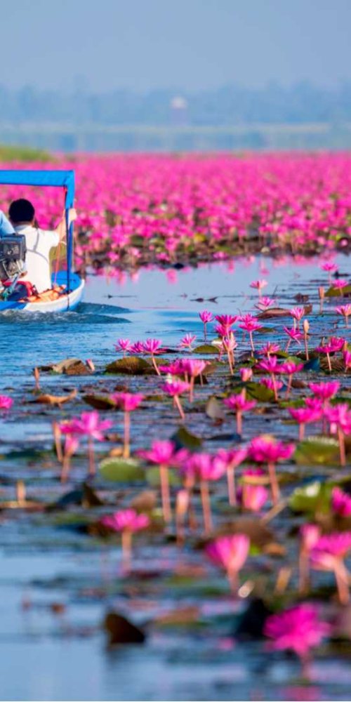 Dining ambience in Udon Thani