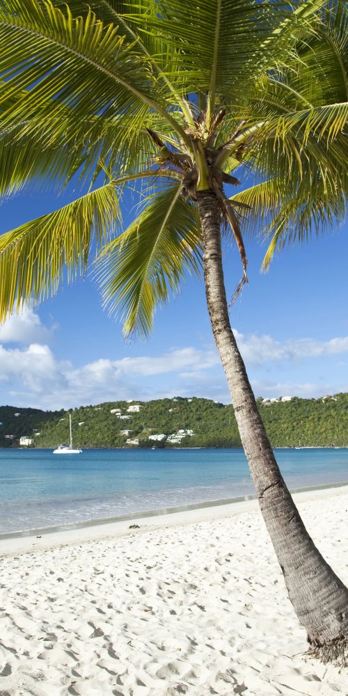 Dining ambience in St Thomas, VI, US