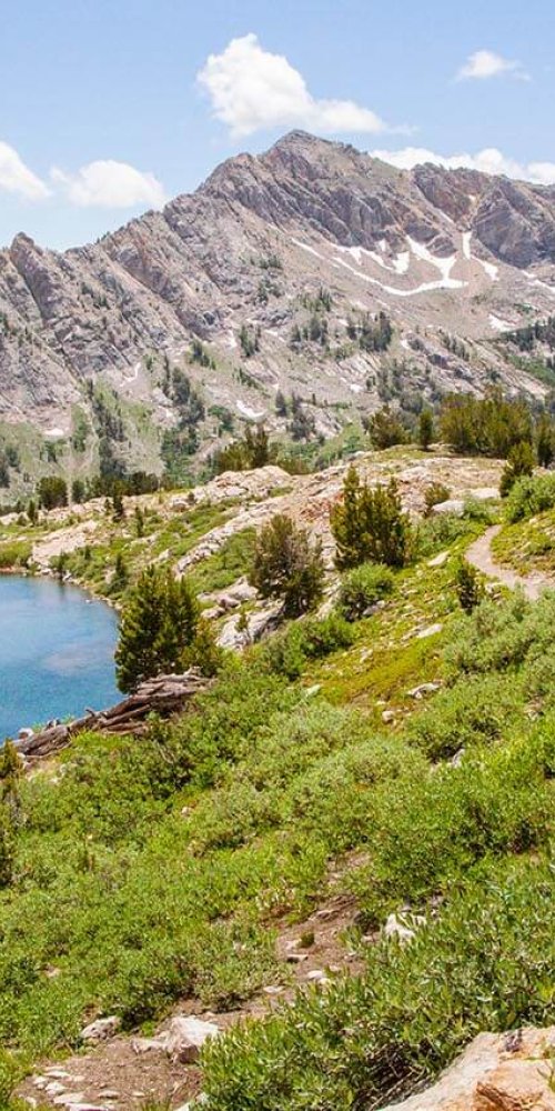 Dining ambience in Elko, NV, US